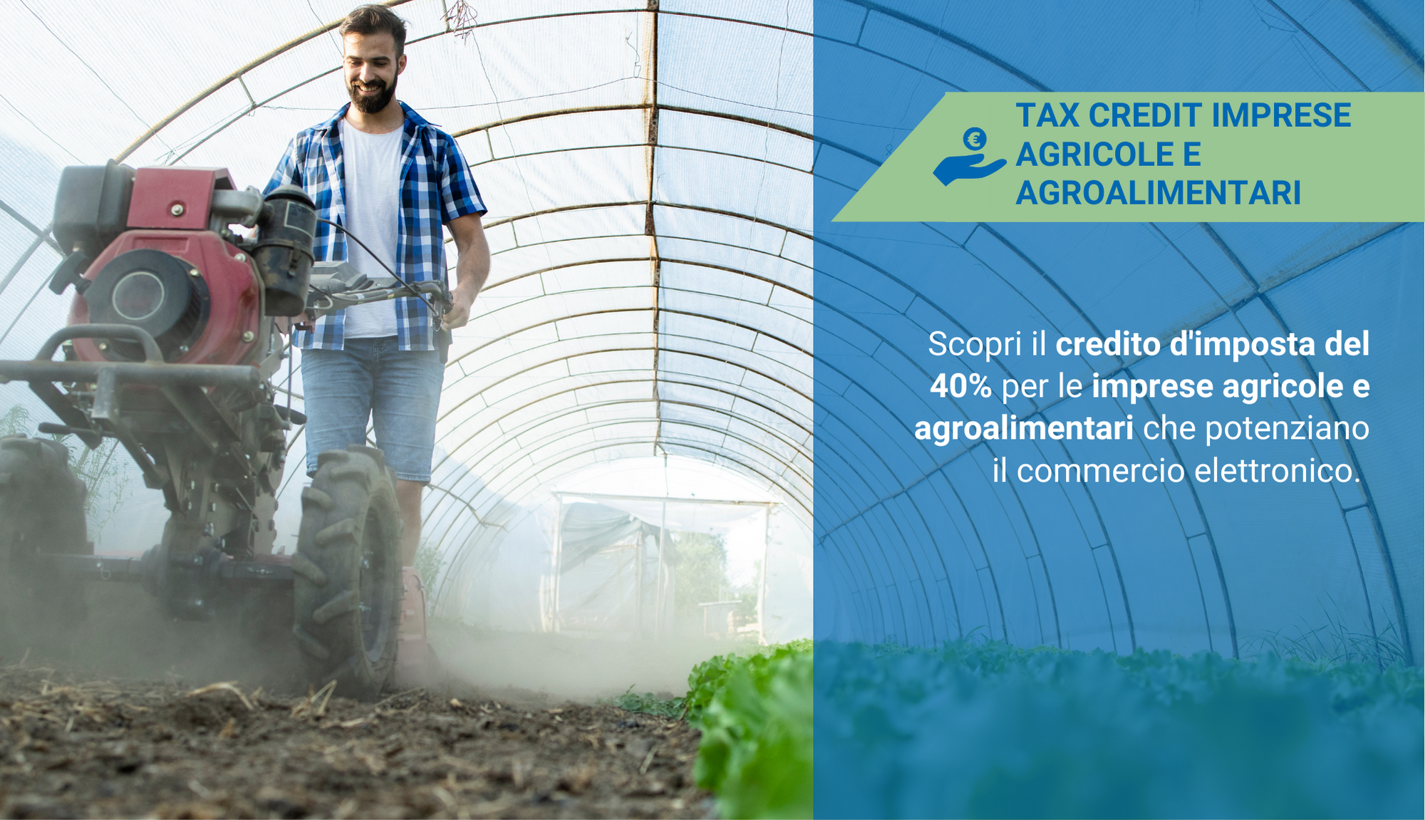 credito imposta imprese agricole e agroalimentari